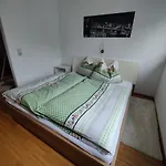 Apartament Wohnen Am Schroetter Direkt Am Traunsee