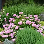 Wohnen Am Schroetter Direkt Am Traunsee Rindbach