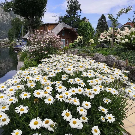 Wohnen Am Schroetter Direkt Am Traunsee *