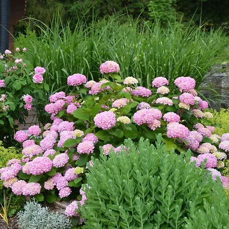 Wohnen Am Schroetter Direkt Am Traunsee Rindbach