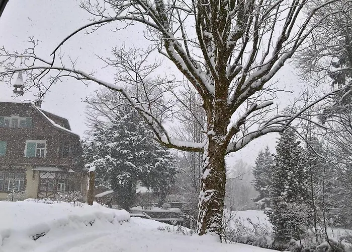 Wohnen Am Schroetter Direkt Am Traunsee Rindbach