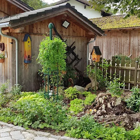 Wohnen Am Schroetter Direkt Am Traunsee Rindbach