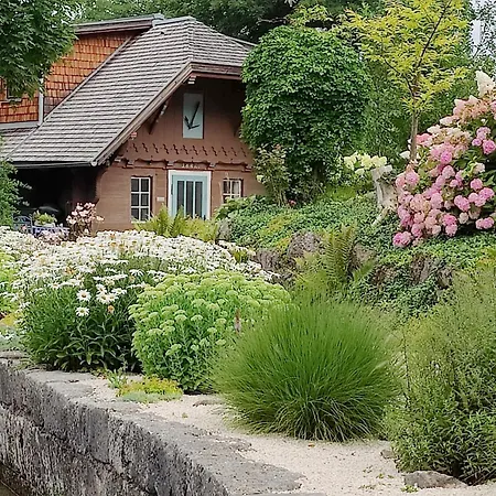 Wohnen Am Schroetter Direkt Am Traunsee * Rindbach