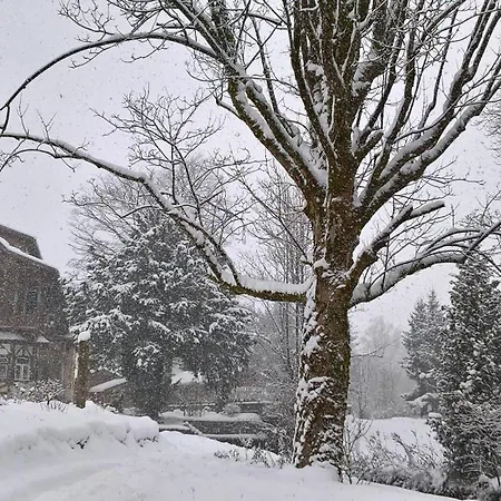Wohnen Am Schrötter Direkt Am Traunsee Rindbach