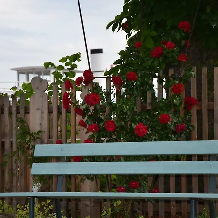 Wohnen Am Schrötter Direkt Am Traunsee *