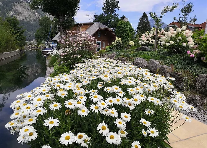 Wohnen Am Schroetter Direkt Am Traunsee *