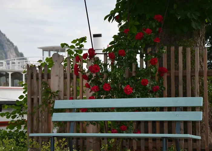 Wohnen Am Schroetter Direkt Am Traunsee *